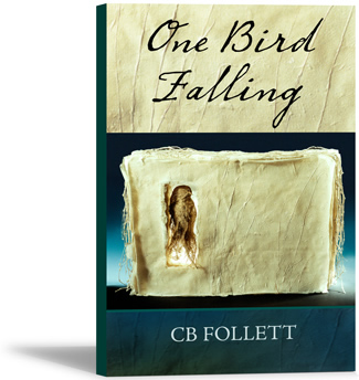 One Bird Falling