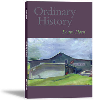 Ordinary History