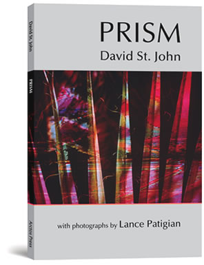 Prism book cover